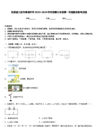 安徽省六安市皋城中学2023-2024学年物理九年级第一学期期末联考试题含答案