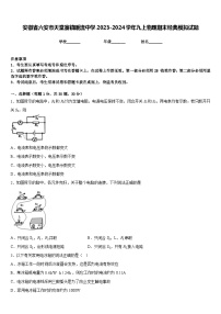 安徽省六安市天堂寨镇暖流中学2023-2024学年九上物理期末经典模拟试题含答案