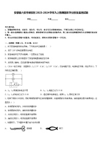 安徽省六安市裕安区2023-2024学年九上物理期末学业质量监测试题含答案