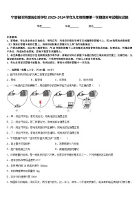 宁夏银川外国语实验学校2023-2024学年九年级物理第一学期期末考试模拟试题含答案