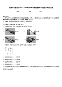 威海市古寨中学2023-2024学年九年级物理第一学期期末考试试题含答案