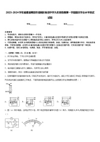 2023-2024学年福建省莆田市城厢区砺成中学九年级物理第一学期期末学业水平测试试题含答案