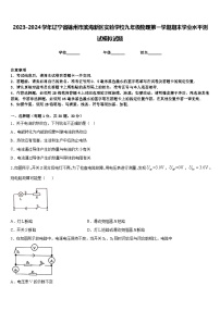 2023-2024学年辽宁省锦州市滨海新区实验学校九年级物理第一学期期末学业水平测试模拟试题含答案