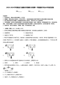 2023-2024学年黑龙江省黑河市物理九年级第一学期期末学业水平测试试题含答案