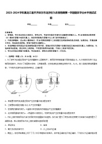 2023-2024学年黑龙江省齐齐哈尔市龙沙区九年级物理第一学期期末学业水平测试试题含答案