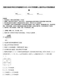 内蒙古自治区呼伦贝尔市满洲里市2023-2024学年物理九上期末学业水平测试模拟试题含答案