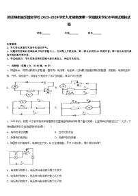 四川绵阳富乐国际学校2023-2024学年九年级物理第一学期期末学业水平测试模拟试题含答案