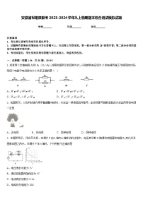 安徽省枞阳县联考2023-2024学年九上物理期末综合测试模拟试题含答案