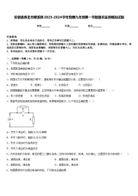 安徽省淮北市濉溪县2023-2024学年物理九年级第一学期期末监测模拟试题含答案
