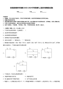 安徽省铜陵市枞阳县2023-2024学年物理九上期末经典模拟试题含答案