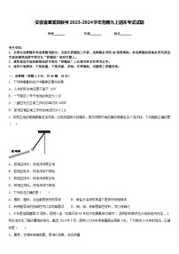 安徽省濉溪县联考2023-2024学年物理九上期末考试试题含答案