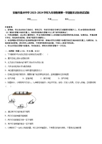 安顺市重点中学2023-2024学年九年级物理第一学期期末达标测试试题含答案
