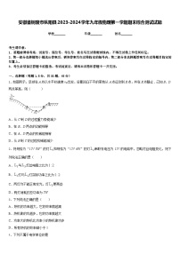 安徽省铜陵市枞阳县2023-2024学年九年级物理第一学期期末综合测试试题含答案