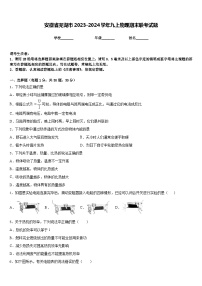 安徽省芜湖市2023-2024学年九上物理期末联考试题含答案