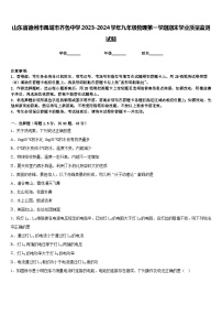 山东省德州市禹城市齐鲁中学2023-2024学年九年级物理第一学期期末学业质量监测试题含答案