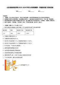 山东省德州夏津县2023-2024学年九年级物理第一学期期末复习检测试题含答案