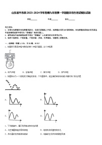 山东省平邑县2023-2024学年物理九年级第一学期期末综合测试模拟试题含答案