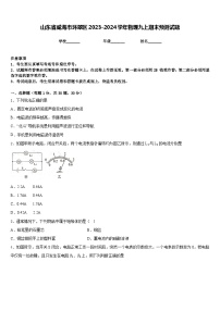 山东省威海市环翠区2023-2024学年物理九上期末预测试题含答案