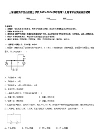山东省临沂市兰山区部分学校2023-2024学年物理九上期末学业质量监测试题含答案