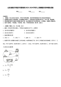 山东省临沂市临沂市蒙阴县2023-2024学年九上物理期末统考模拟试题含答案