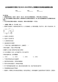 山东省威海市文登区八校2023-2024学年九上物理期末质量跟踪监视模拟试题含答案