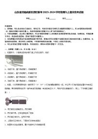 山东省济南高新区四校联考2023-2024学年物理九上期末统考试题含答案