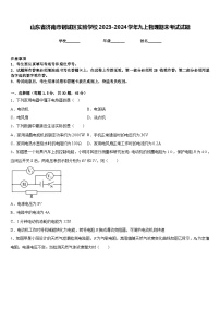 山东省济南市钢城区实验学校2023-2024学年九上物理期末考试试题含答案