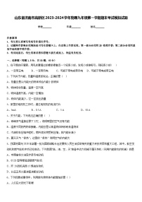 山东省济南市高新区2023-2024学年物理九年级第一学期期末考试模拟试题含答案