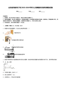 山东省济南市历下区2023-2024学年九上物理期末质量检测模拟试题含答案