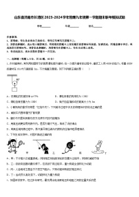 山东省济南市长清区2023-2024学年物理九年级第一学期期末联考模拟试题含答案