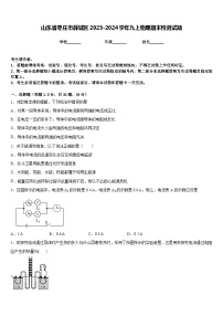 山东省枣庄市薛城区2023-2024学年九上物理期末检测试题含答案