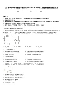 山东省泰安市肥城市湖屯镇初级中学2023-2024学年九上物理期末检测模拟试题含答案