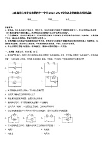 山东省枣庄市枣庄市第四十一中学2023-2024学年九上物理期末检测试题含答案