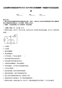 山东省泰安市新城实验中学2023-2024学年九年级物理第一学期期末学业质量监测试题含答案