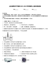 山东省泰安市宁阳县2023-2024学年物理九上期末经典试题含答案