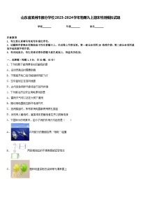 山东省滨州市部分学校2023-2024学年物理九上期末检测模拟试题含答案