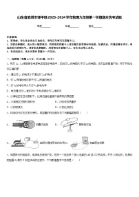 山东省滨州市邹平县2023-2024学年物理九年级第一学期期末统考试题含答案