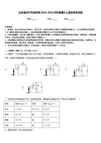 山东省济宁市嘉祥县2023-2024学年物理九上期末统考试题含答案