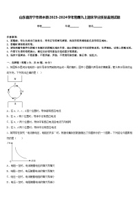 山东省济宁市泗水县2023-2024学年物理九上期末学业质量监测试题含答案