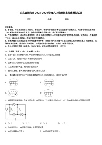 山东省烟台市2023-2024学年九上物理期末经典模拟试题含答案