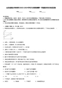 山东省烟台市莱州市2023-2024学年九年级物理第一学期期末综合测试试题含答案