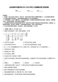 山东省潍坊市昌乐县2023-2024学年九上物理期末复习检测试题含答案