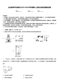 山东省潍坊市诸城市2023-2024学年物理九上期末达标检测模拟试题含答案