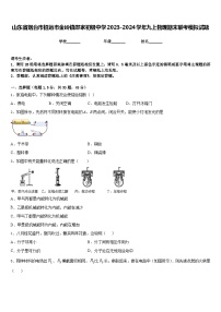 山东省烟台市招远市金岭镇邵家初级中学2023-2024学年九上物理期末联考模拟试题含答案