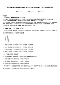 山东省肥城市湖屯镇初级中学2023-2024学年物理九上期末经典模拟试题含答案