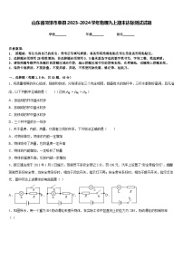 山东省菏泽市单县2023-2024学年物理九上期末达标测试试题含答案