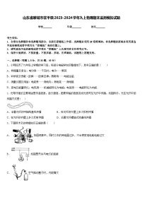 山东省聊城市茌平县2023-2024学年九上物理期末监测模拟试题含答案