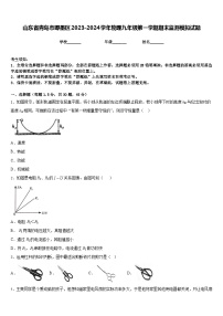 山东省青岛市即墨区2023-2024学年物理九年级第一学期期末监测模拟试题含答案