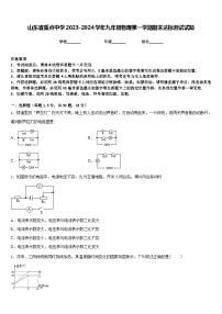 山东省重点中学2023-2024学年九年级物理第一学期期末达标测试试题含答案
