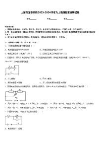 山东菏泽市曹县2023-2024学年九上物理期末调研试题含答案